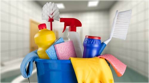 Carpet cleaning service terms and conditions introduction