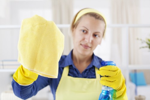 Professional domestic cleaning in a modern Docklands apartment