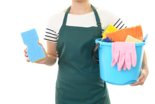 Professional deep cleaning in a Docklands apartment interior