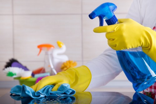 Eco-friendly carpet cleaning equipment used in a Docklands property
