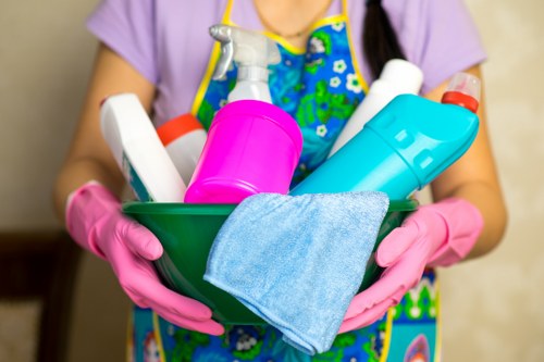 Professional cleaning company servicing modern Docklands properties