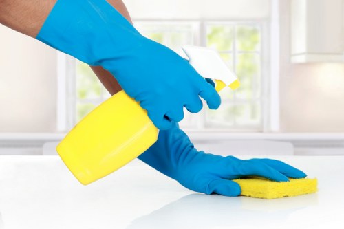 Residential carpet cleaner in Docklands refreshing a family home carpet