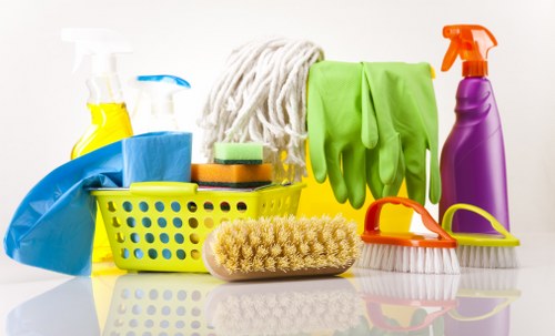 Rug and fitted carpet cleaning options shown together