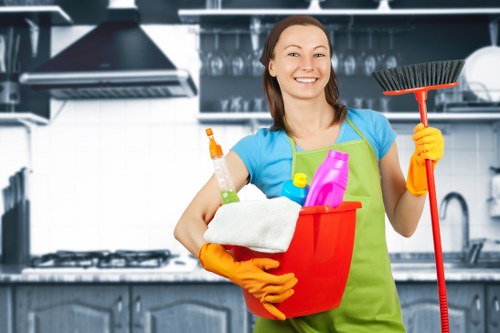 Kitchen and bathroom domestic cleaning service in Docklands