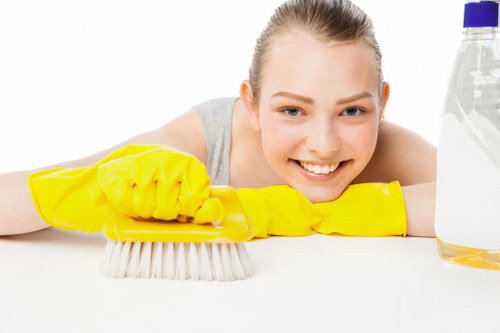 Hot water extraction carpet cleaning service in Docklands