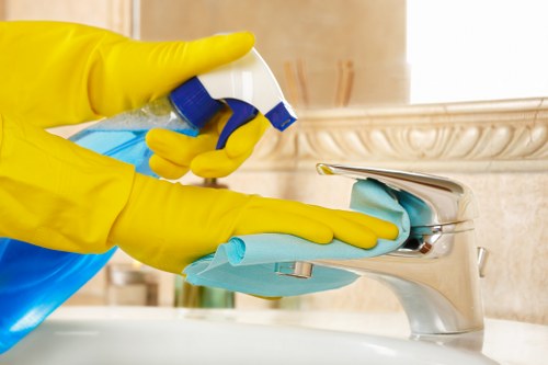 Professional carpet cleaner in Docklands deep cleaning a living room carpet