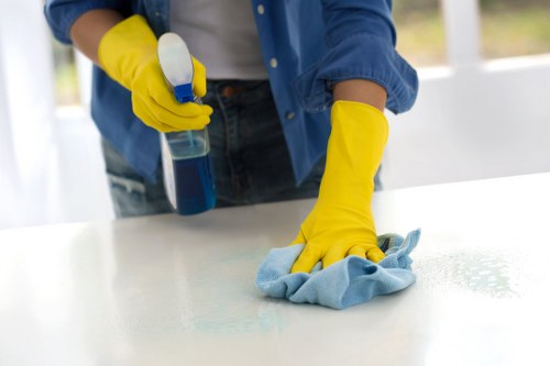 End of tenancy cleaning in a Docklands apartment